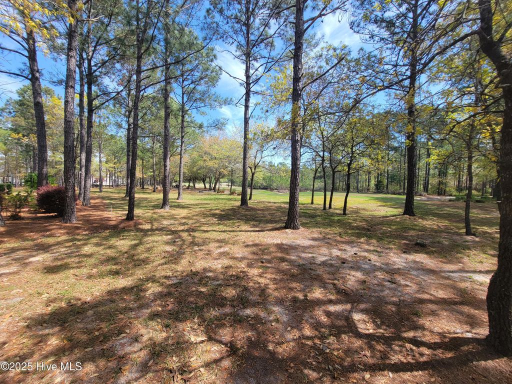 Photo of 6618 Annesbrook Place, Ocean Isle Beach, NC 28469 (MLS # 100507058)