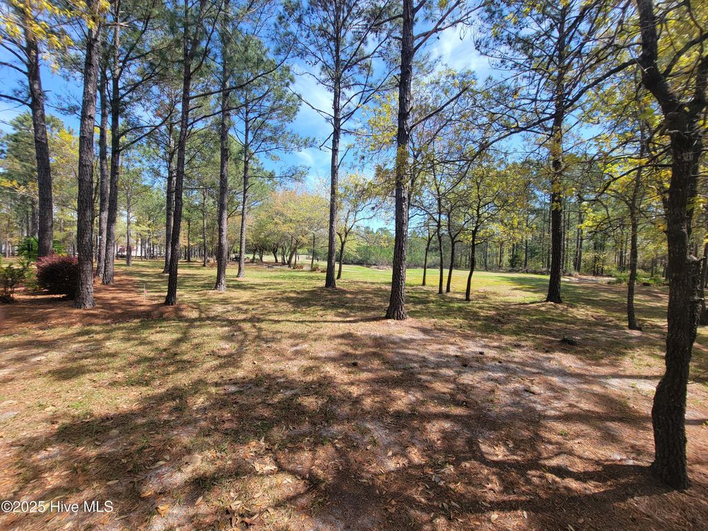 Photo of 6618 Annesbrook Place, Ocean Isle Beach, NC 28469 (MLS # 100507058)