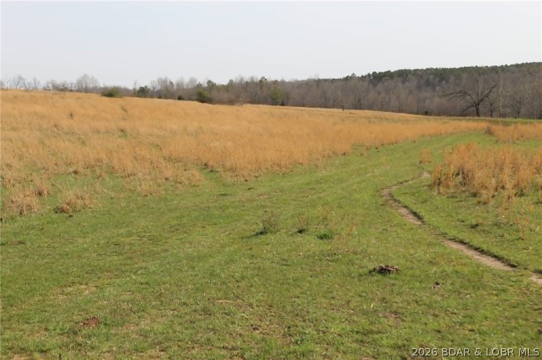 Out of Area - Land