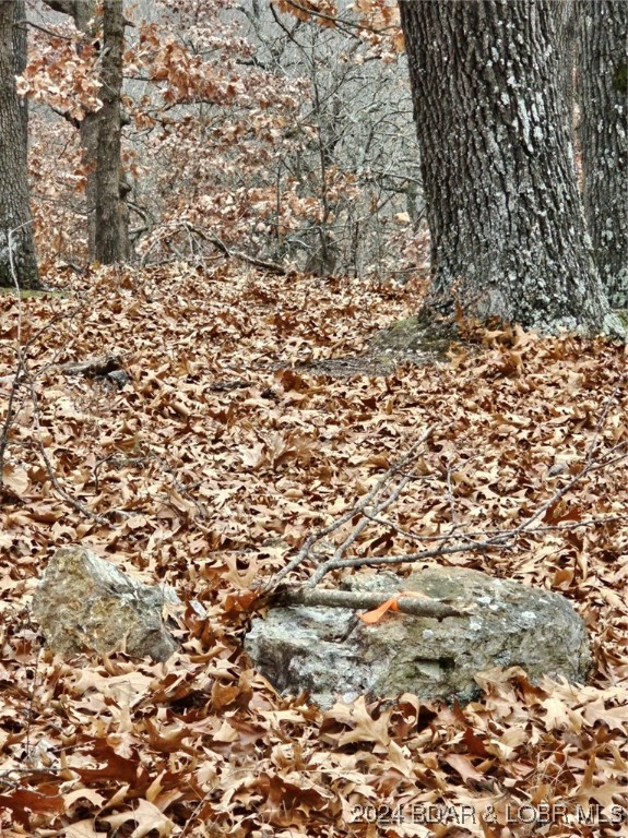 Forbes Lake of the Ozarks - Land