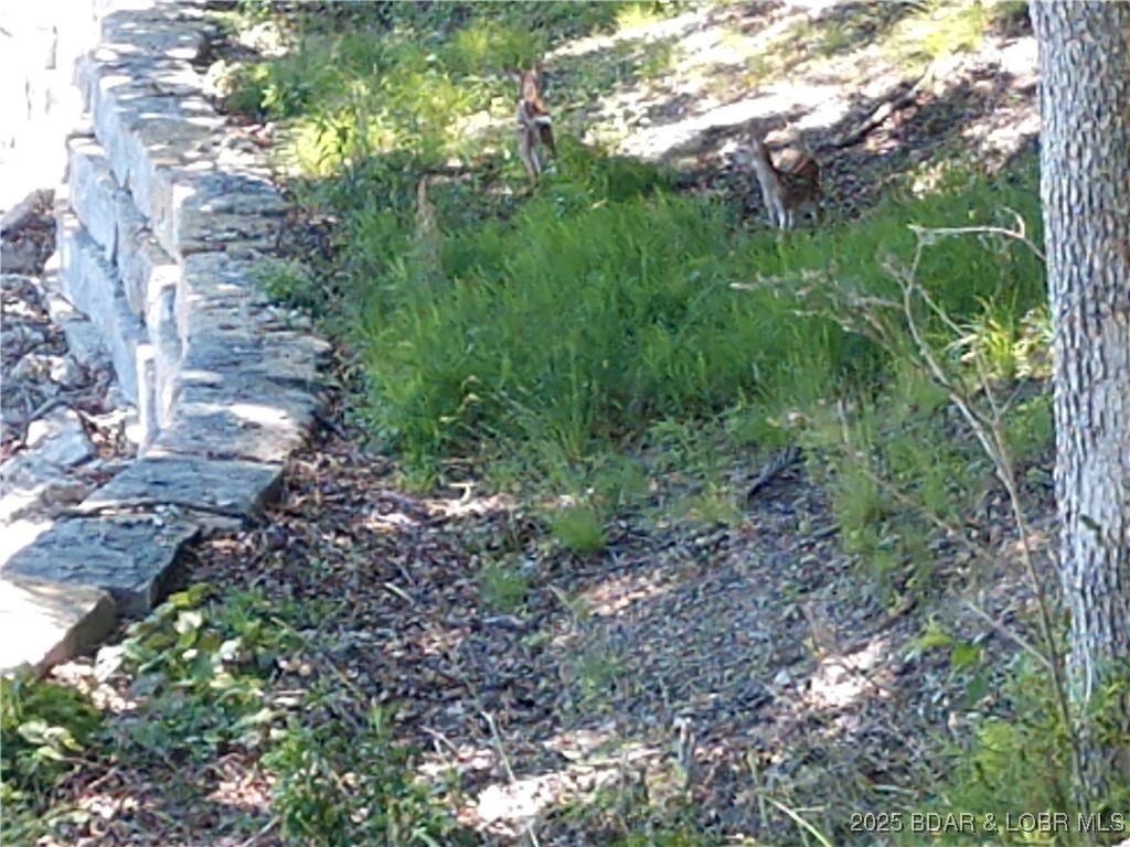 East Lake Village - Land