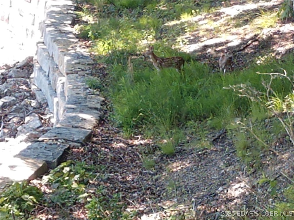 East Lake Village - Land