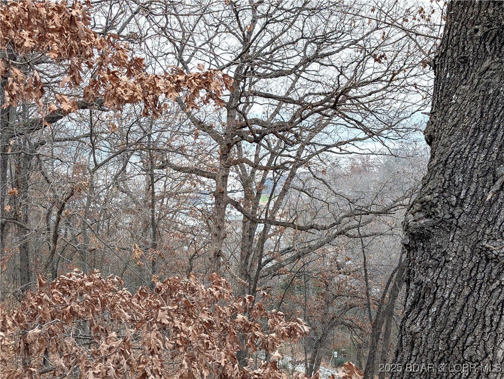 Linn Creek Sites - Residential