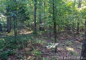 Point Of View - Land