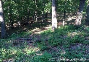 Point Of View - Land