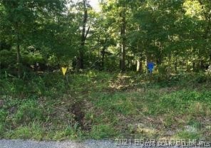 Point Of View - Land