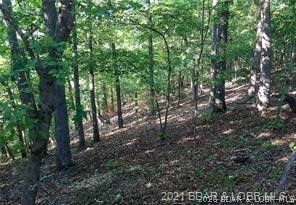 Point Of View - Land