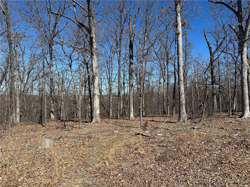 Cornett Cove No. 5 - Land