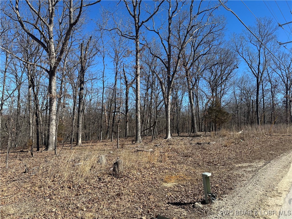 Cornett Cove No. 5 - Land