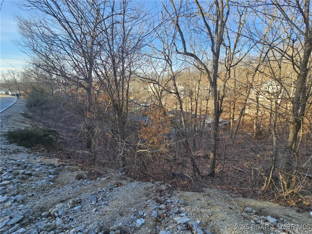 Palisades Point #4 - Land