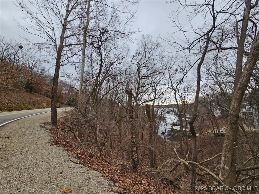 Palisades Point #4 - Land