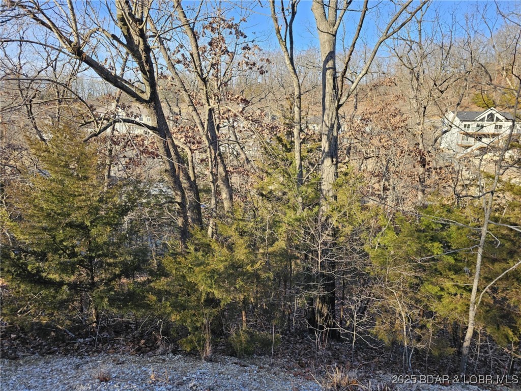 Palisades Point #4 - Land