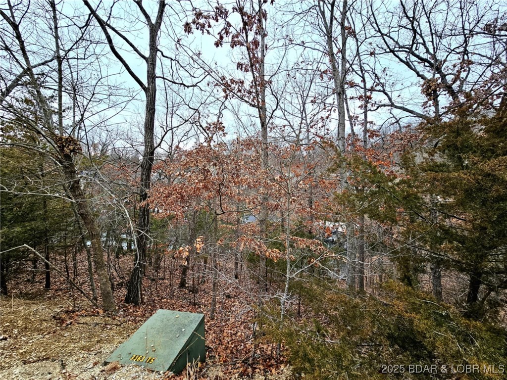 Palisades Point #4 - Land