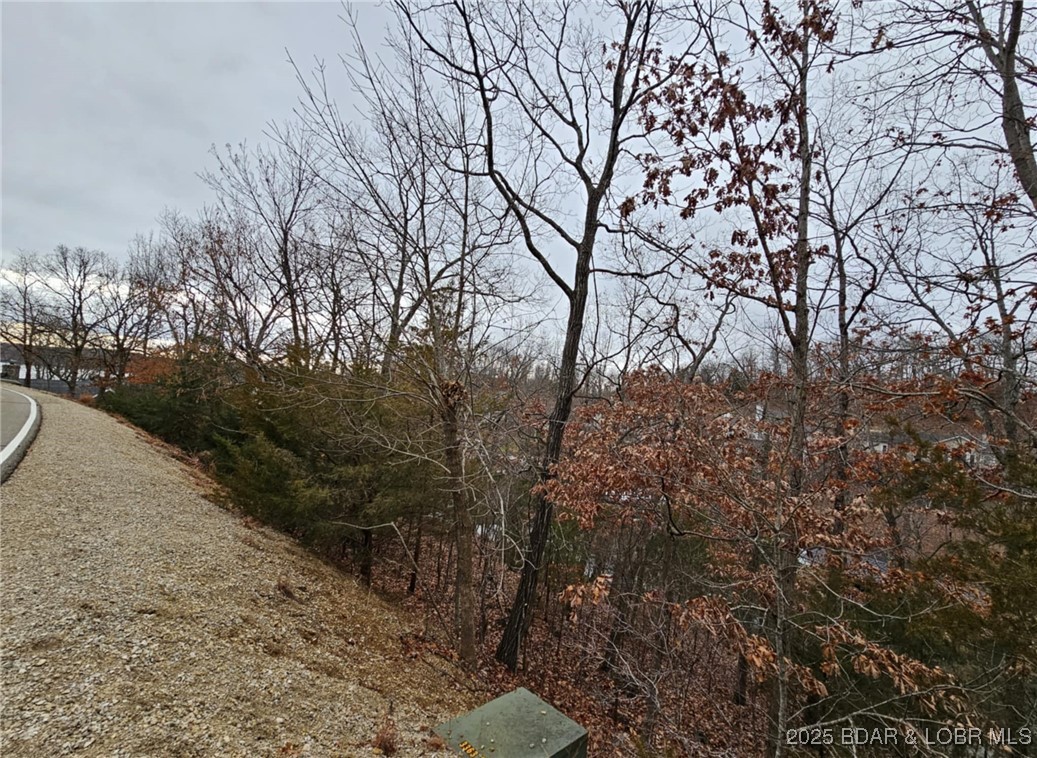 Palisades Point #4 - Land