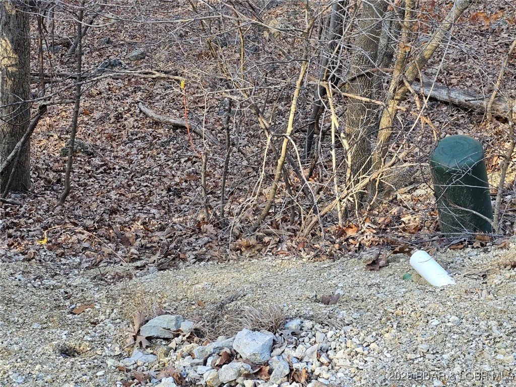 Palisades Point #4 - Land