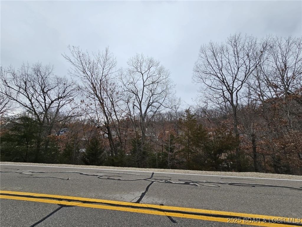 Palisades Point #4 - Land