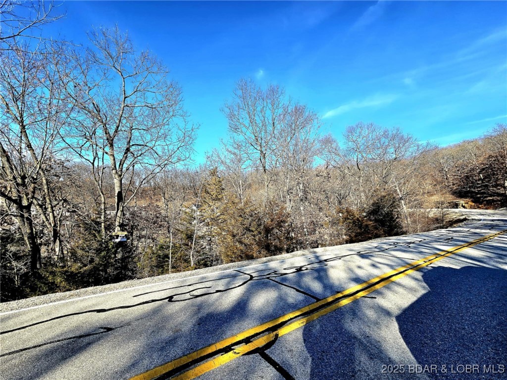 Palisades Point #4 - Land
