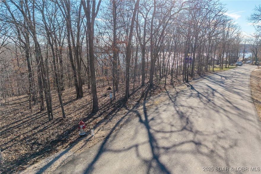 Enjoy the charm of ever-changing lake scenery with this Seasonal View lot at The Villages at Shawnee Bend. Partial lake views emerge throughout the year, offering a unique connection to the surrounding landscape while maintaining privacy and natural beauty. The community sets itself apart with a grand waterfall entrance and an impressive lineup of amenities, including a clubhouse, resort-style pool, championship tennis courts, and pickleball facilities. Parks, and playgrounds enhance the lake lifestyle, while paved streets and underground utilities provide modern convenience. This lot is ideal for a full-time residence or a relaxing weekend escape.