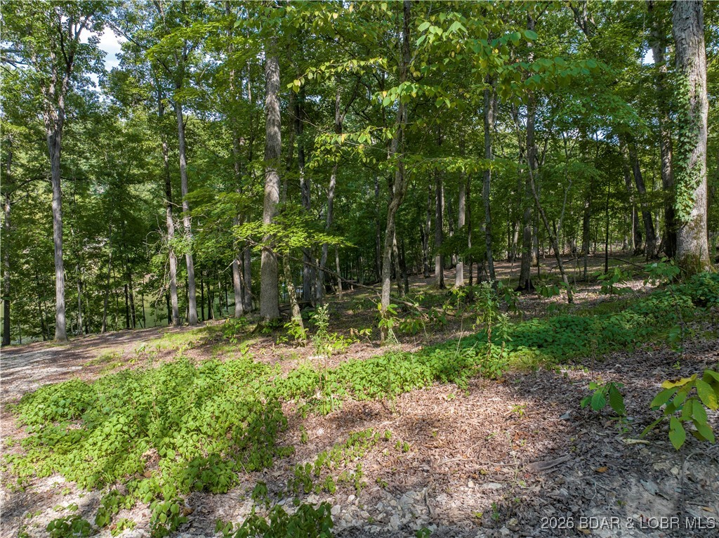 Graceland Point East - Land