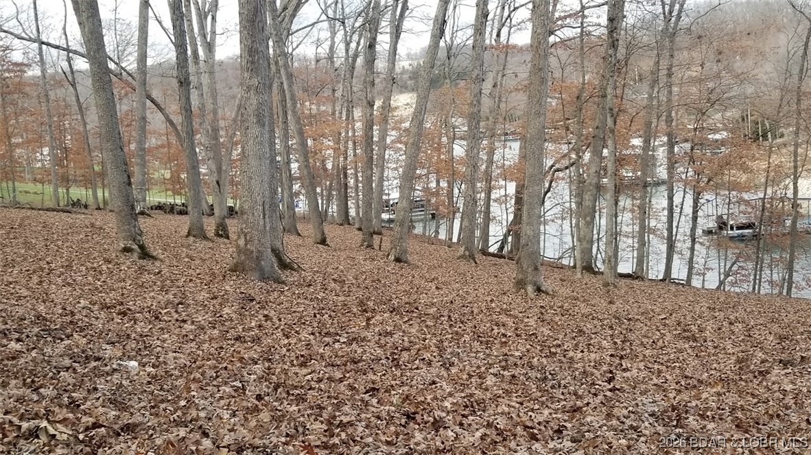 Graceland Point East - Land