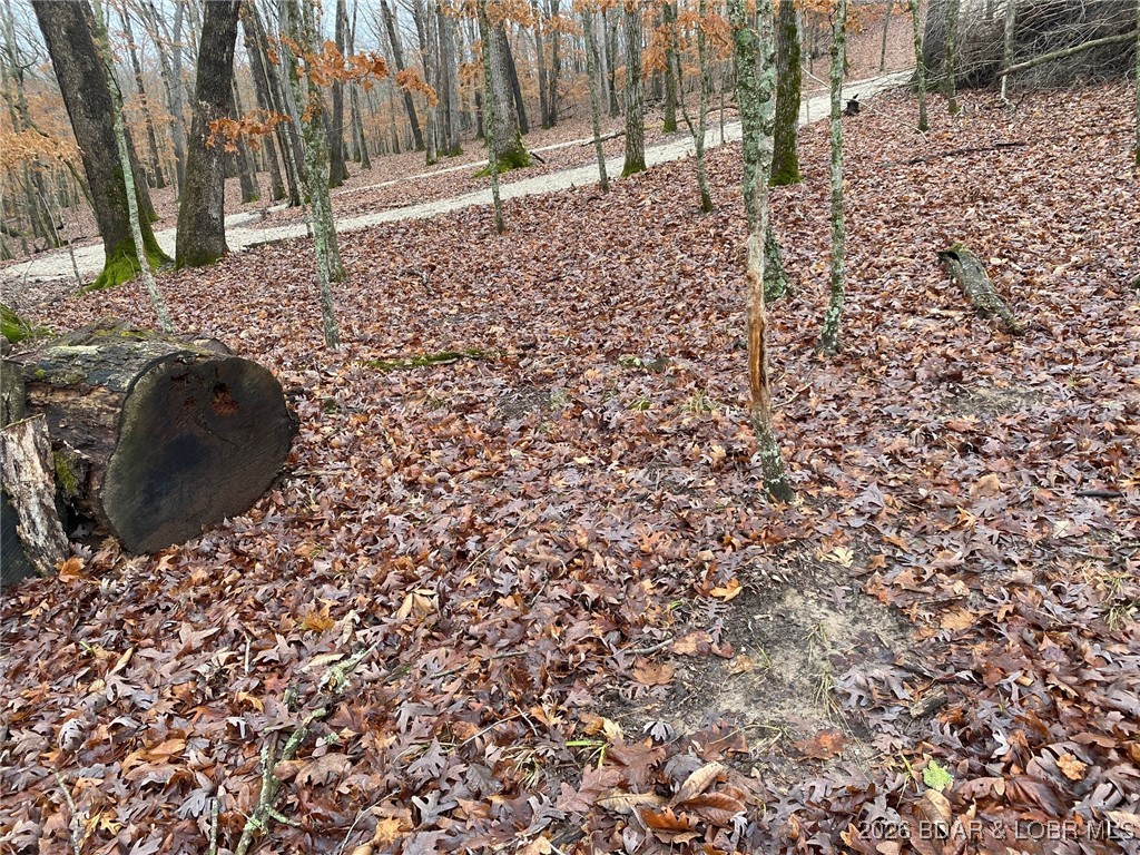 Graceland Point East - Land