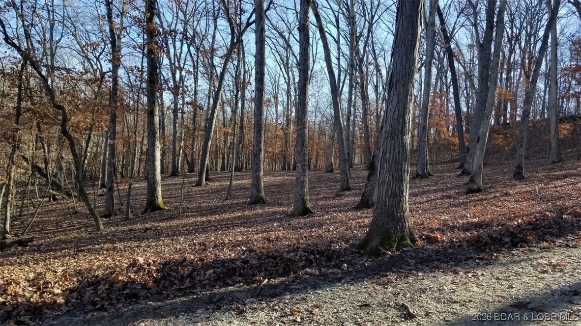 Graceland Point East - Land