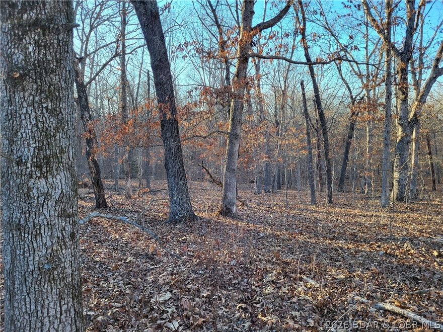 njoy the peace and privacy of this beautiful 12-acre wooded tract located within the gated Forbes Lake of the Ozarks Park community. Surrounded by the natural beauty of the Ozarks, this property offers the ideal setting for your dream home, weekend retreat, or private getaway. Wildlife is abundant, creating a true nature-lover’s paradise. Property owners enjoy exceptional amenities including access to 3 interior lakes, 3 boat ramps on the quieter side of Lake of the Ozarks, day docks, tennis courts, an RV park, and more. Experience tranquil country living with the added benefit of community amenities, all just 30 minutes from Warsaw and an easy drive from Kansas City or Springfield.
