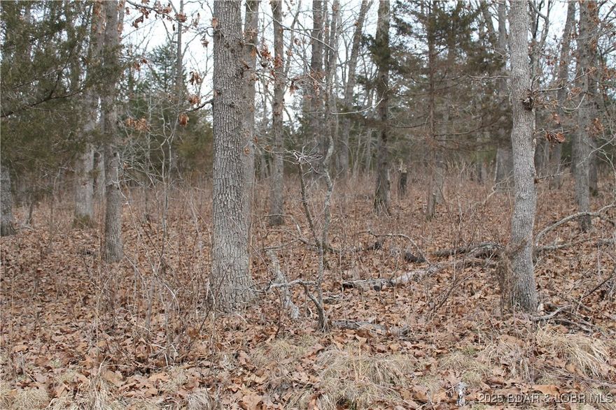 Come relax and enjoy the peaceful serenity of your very own 2.65-acre retreat! This beautiful property offers plenty of deer, turkey, and other wildlife to enjoy right from your land. Camping privileges are available, giving you the option to use it now for weekend getaways—or build the home of your dreams and make it your permanent escape. Located in the gated community of Forbes Lake of the Ozarks Park, you’ll also have access to numerous amenities including boat ramps, fishing lakes, RV parking, and more. Whether you’re looking for a private camping spot, an investment in land, or a future homesite, this property is ready to make your lake lifestyle a reality.