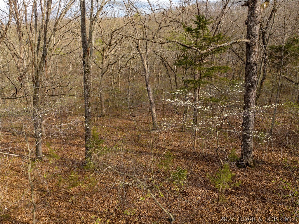 Sunset Shores - Land