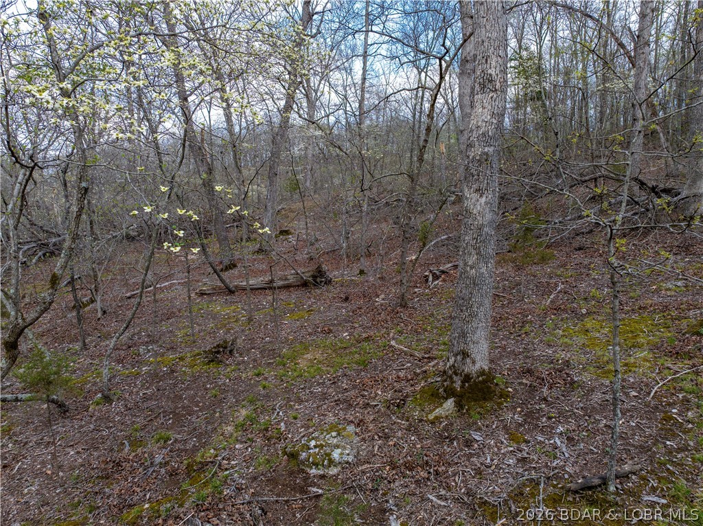 Sunset Shores - Land