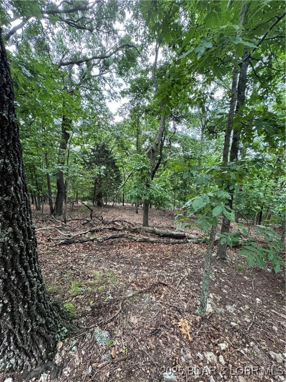 Ocean View Land Corp - Land