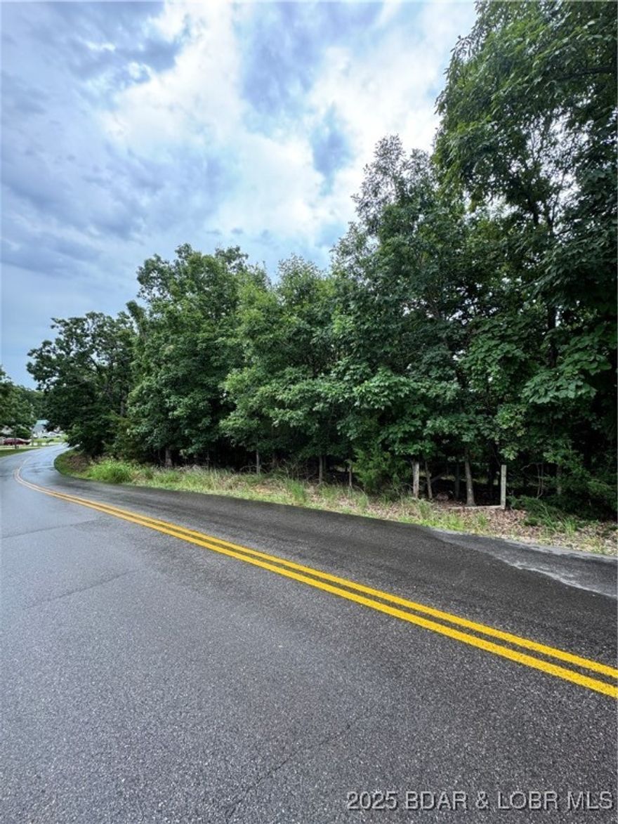 What an opportunity to grab 4 acres, ready to develop in this fantastic Linn Creek location, close to everything but prime for privacy. Nestled on land between Racetrack Hollow Cove and Possum Hollow Cove, it's located in prime boating country!  Situated on a paved road, this property offers a variety of ways to position a driveway for access. The abundance of mature trees will ensure tranquility and a private setting for you, for however you envision utilizing the land.  Book a private tour today!