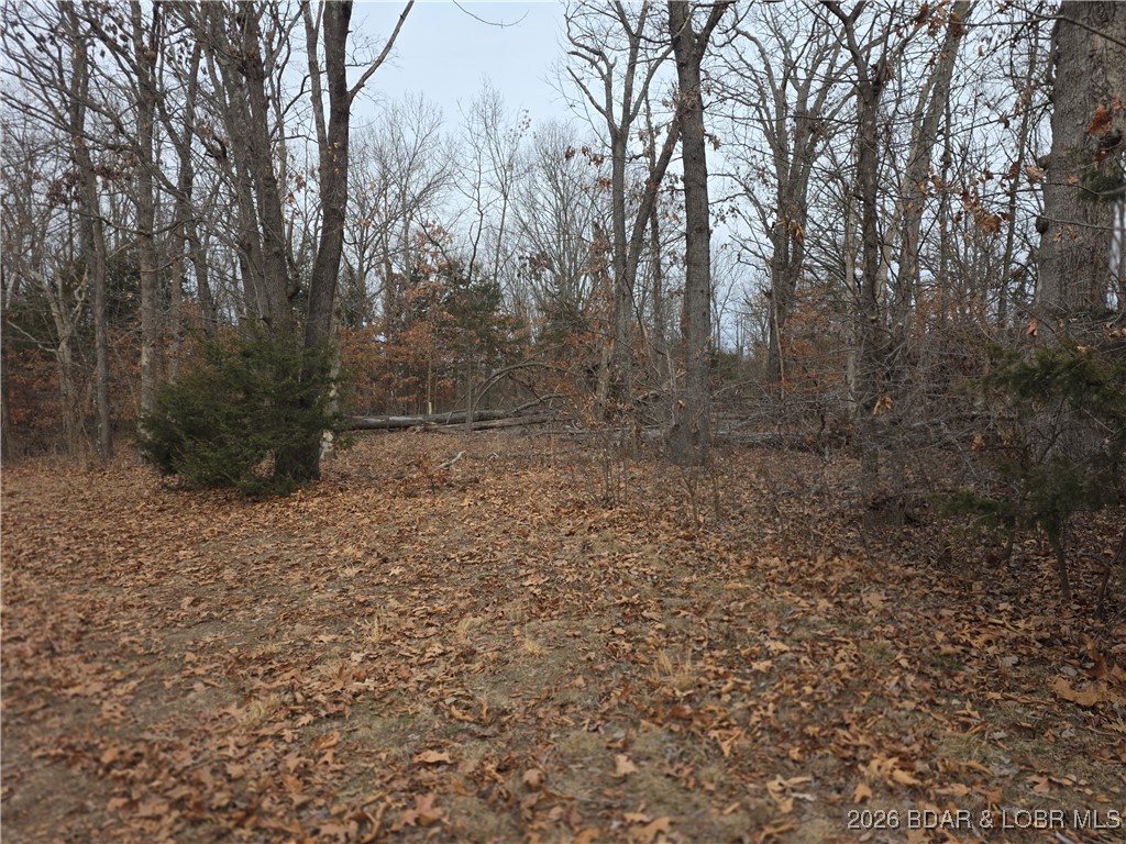 Out of Area - Residential