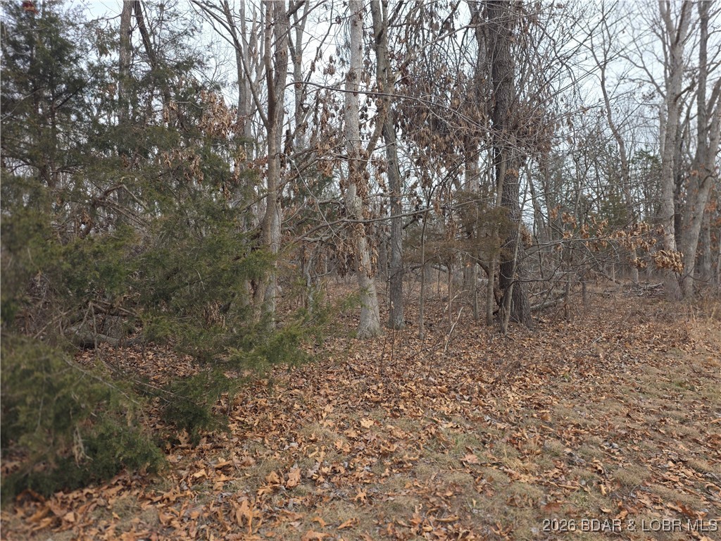 Out of Area - Residential