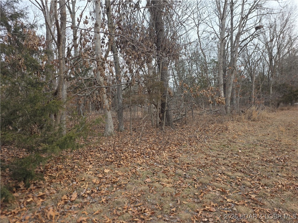 Out of Area - Residential