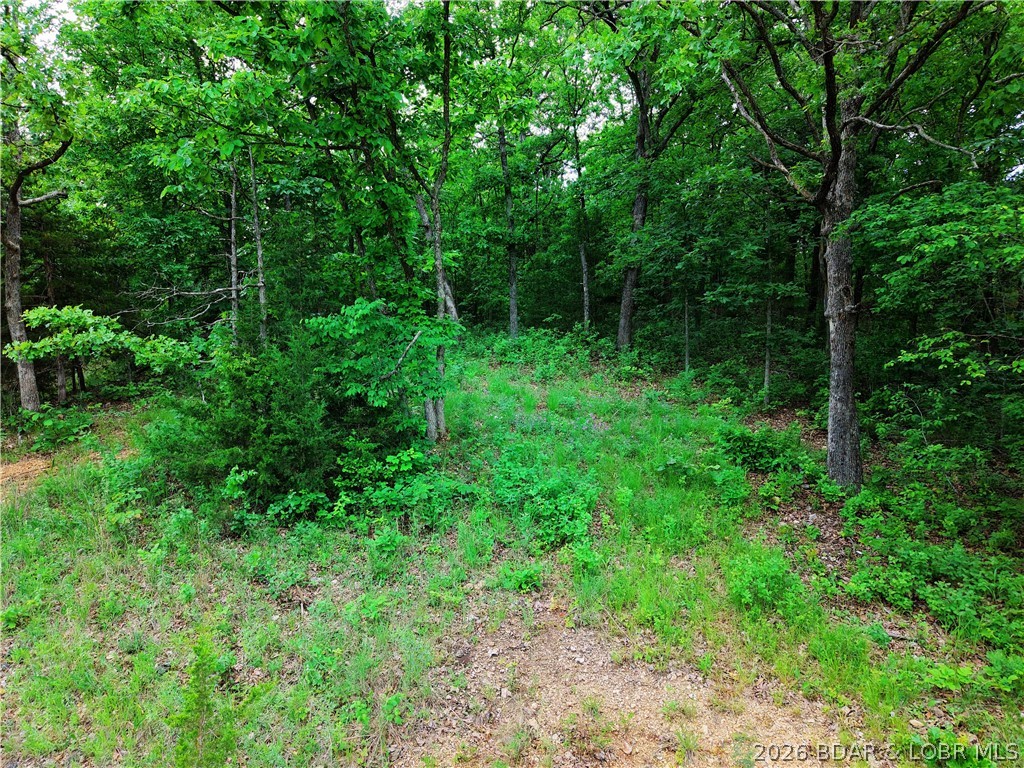 Indian Creek Hills - Land