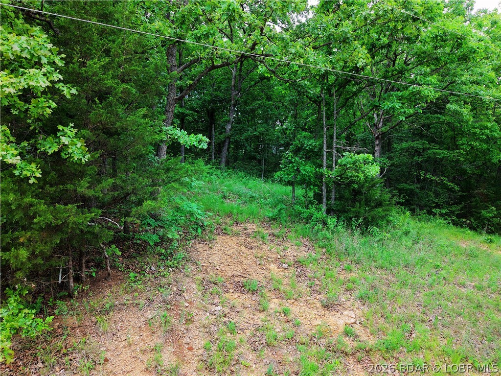 Indian Creek Hills - Land