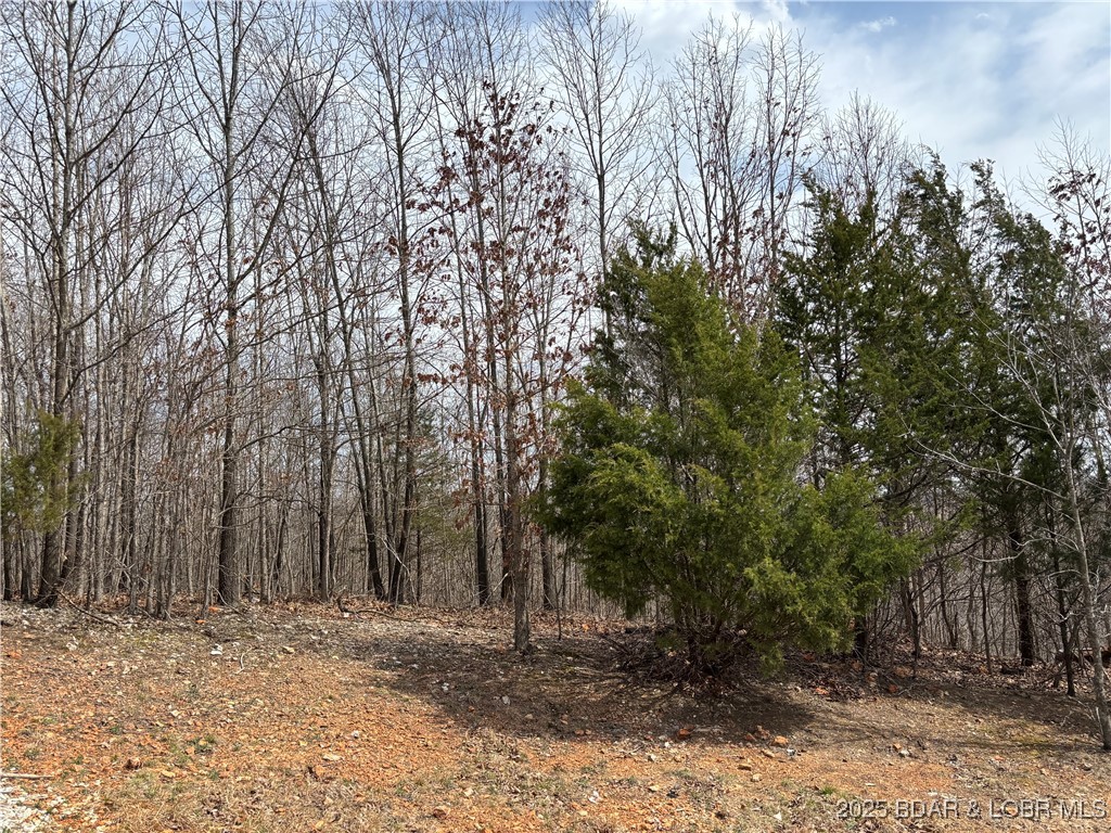 Stover, Missouri 65078, United States, 1 Bedroom Bedrooms, ,1 BathroomBathrooms,Residential,Active,169431