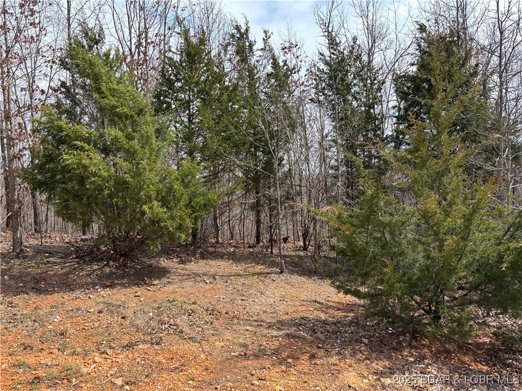 Stover, Missouri 65078, United States, 1 Bedroom Bedrooms, ,1 BathroomBathrooms,Residential,Active,169431