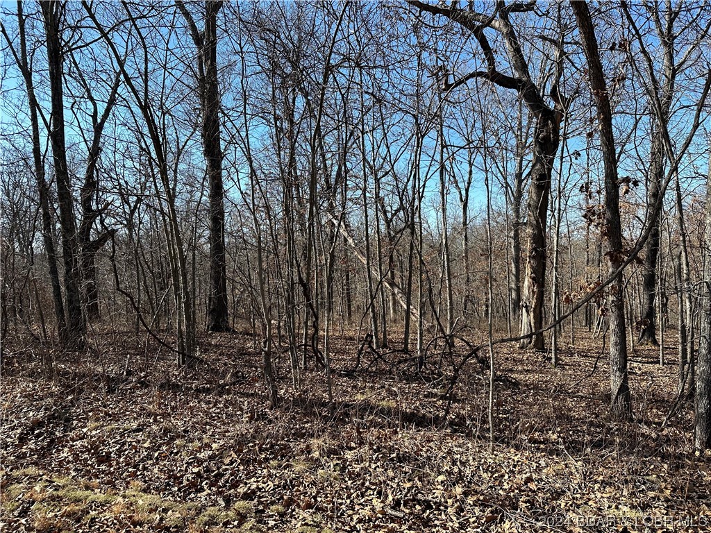 Forbes Lake of the Ozarks - Land
