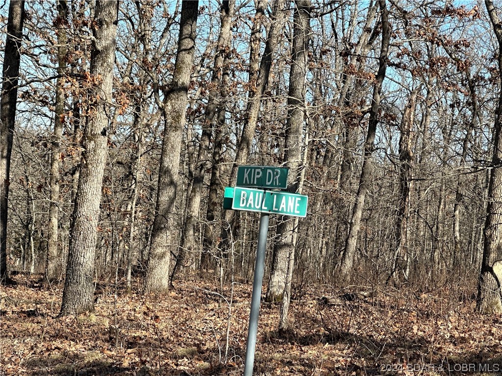 Forbes Lake of the Ozarks - Land