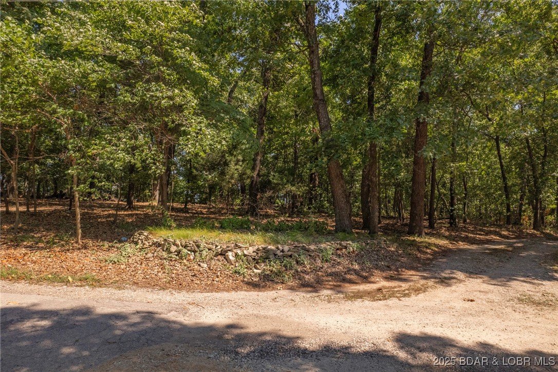 Lakeland Gull Place - Land