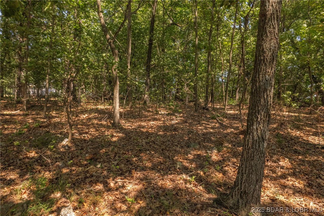 Lakeland Gull Place - Land