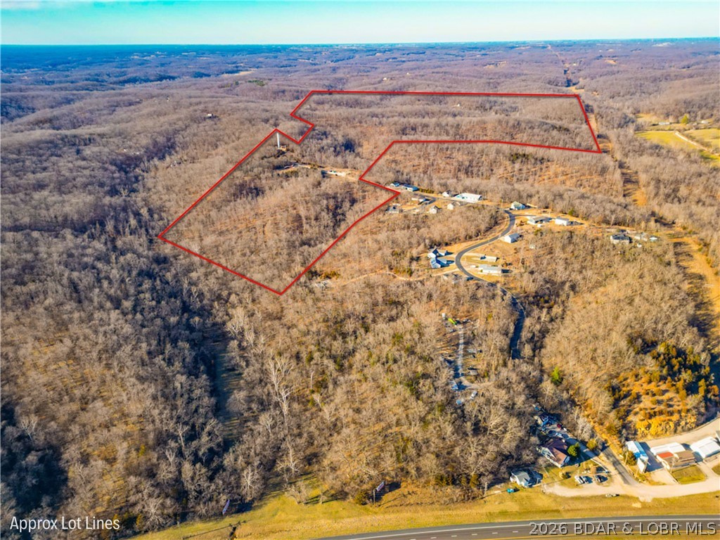 Oak Hill Forest - Land