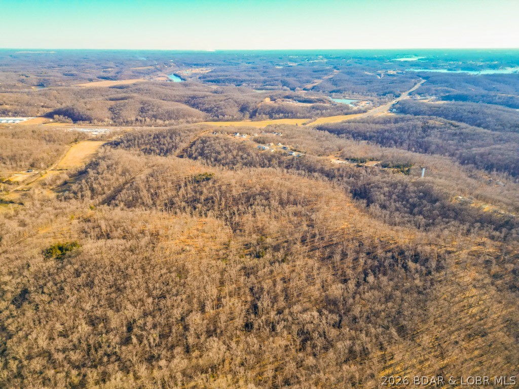 Oak Hill Forest - Land