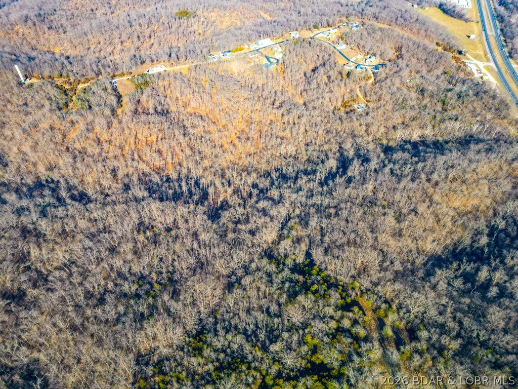 Oak Hill Forest - Land