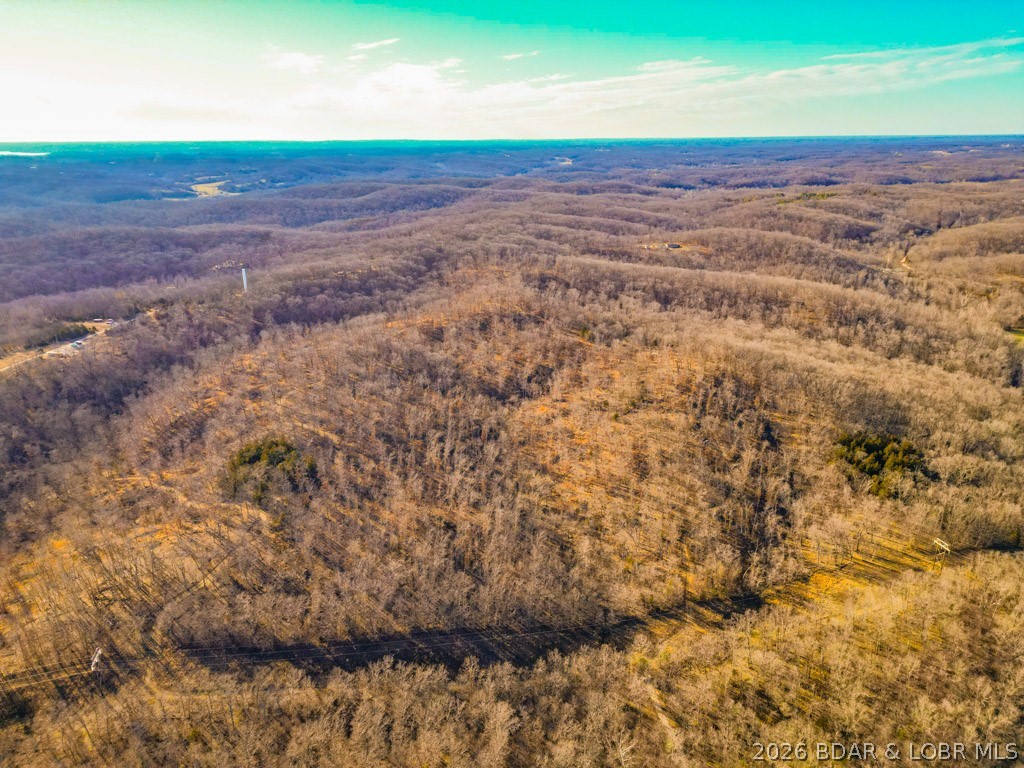 Oak Hill Forest - Land