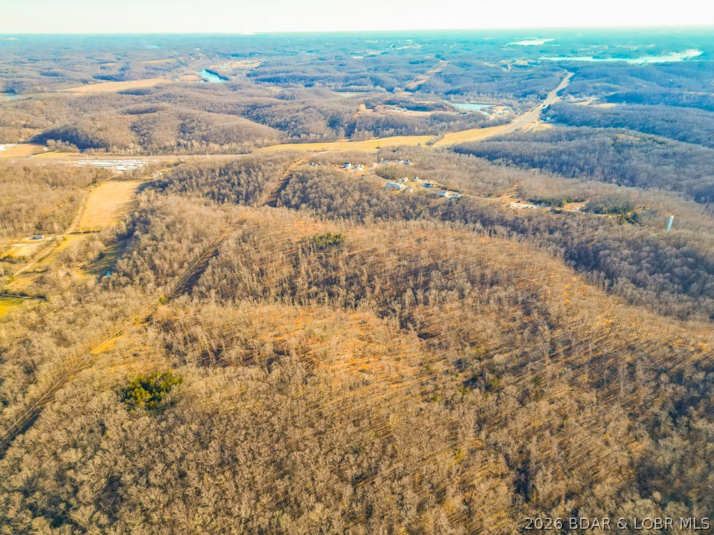 Oak Hill Forest - Land