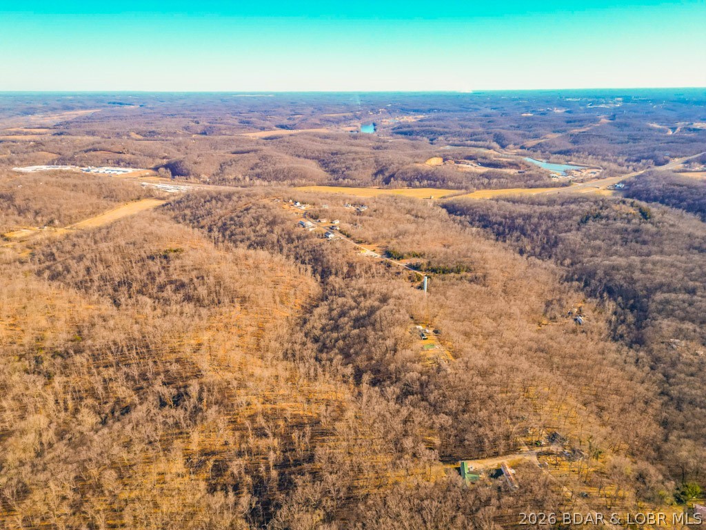 Oak Hill Forest - Land