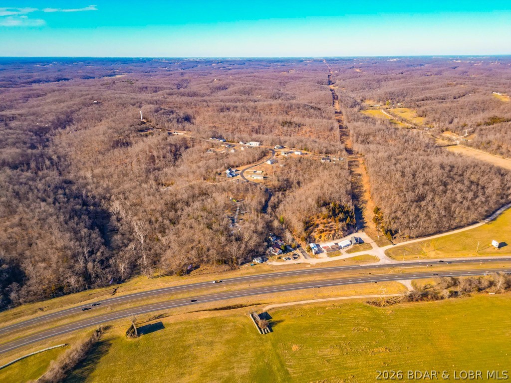 Oak Hill Forest - Land